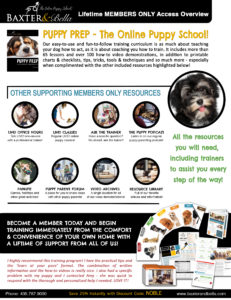 Puppy Prep Overview