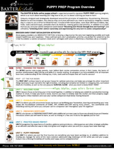 Puppy Prep Overview