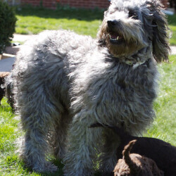 <strong>Tegan Park Lover Girl</strong><br /> aka Hussy Tegan Park Lover Girl aka Hussy