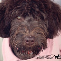 <strong>Bedrock's Je Ne Sais Quoi</strong><br /> aka Jenna