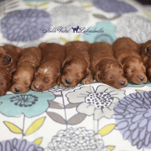 <strong>Week 3</strong><br>
06/09/2016<br>L-R: Girl, Girl, Girl, Girl, Boy, Boy, Boy, Boy, Boy