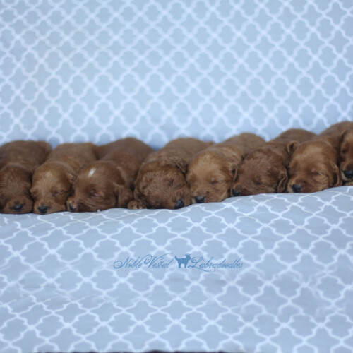 <strong>Week 3</strong><br>
07/09/2016<br>L-R: Girl, Girl, Girl, Girl, Boy, Boy, Boy, Boy, Boy