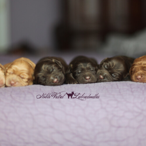 <strong>Week 1</strong><br>
07/23/2016<br>L-R: Girl, Girl, Girl, Girl, Boy, Boy