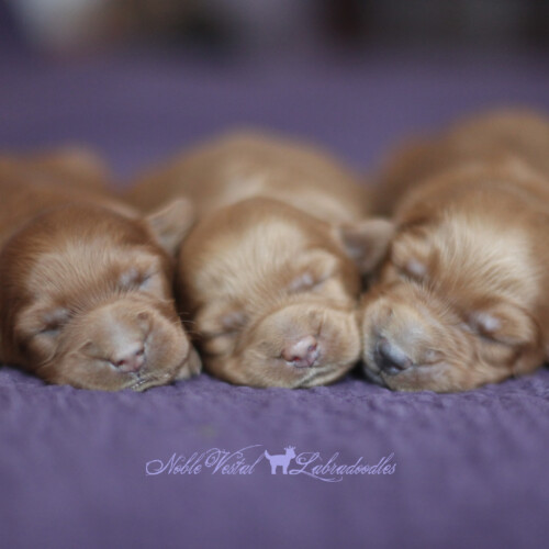 <strong>Week 1</strong><br>
07/30/2016<br>L-R: Girl, Girl, Boy