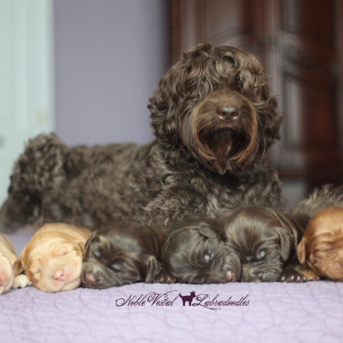 <strong>Week 1</strong><br>
07/23/2016<br>L-R: Girl, Girl, Girl, Girl, Boy, Boy