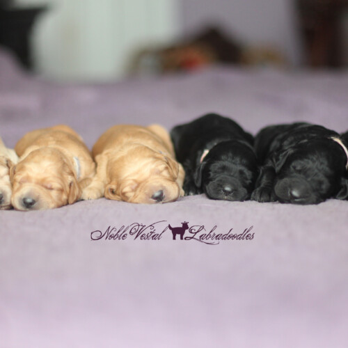 <strong>Week 1</strong><br>
07/23/2016<br>L-R: Girl, Girl, Boy, Girl, Boy, Boy