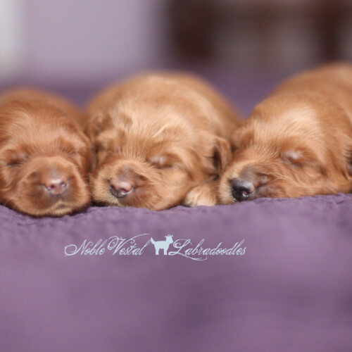 <strong>Week 2</strong><br>
08/06/2016<br>L-R: Girl, Girl, Boy