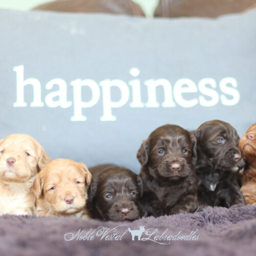 <strong>Week 3</strong><br>
08/06/2016<br>L-R: Girl, Girl, Girl, Girl, Boy, Boy