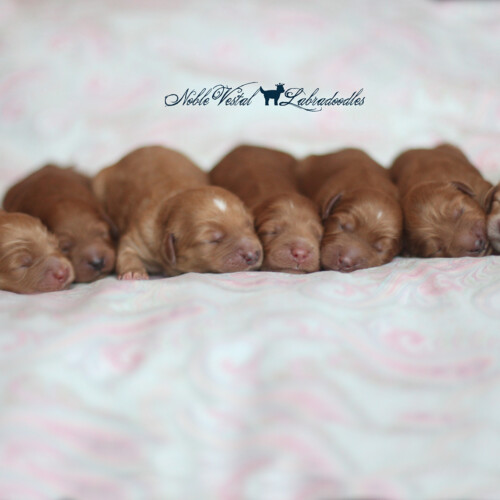 <strong>Week 1</strong><br>
08/13/2016<br>L-R: Girl, Girl, Girl, Girl, Boy, Boy, Boy