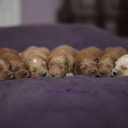 <strong>Week 2</strong><br>
08/20/2016<br>L-R: Girl, Girl, Girl, Girl, Boy, Boy, Boy