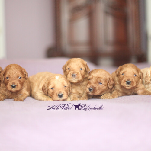 <strong>Week 3</strong><br>
08/27/2016<br>L-R: Girl, Girl, Girl, Girl, Boy, Boy, Boy