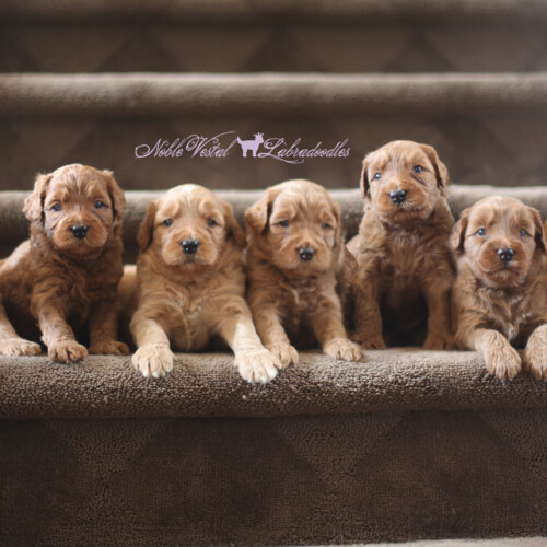 <strong>Week 4</strong><br>
09/03/2016<br>L-R: Girl, Girl, Girl, Girl, Boy, Boy, Boy