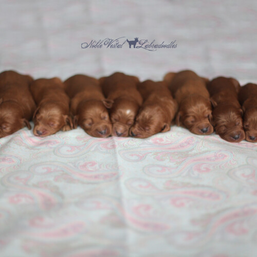 <strong>Week 1</strong><br>
09/10/2016<br>L-R: Girl, Girl, Girl, Boy, Boy, Boy, Boy, Boy, Boy, Boy