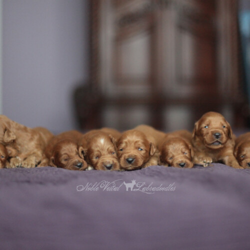 <strong>Week 2</strong><br>
09/17/2016<br>L-R: Girl, Girl, Girl, Boy, Boy, Boy, Boy, Boy, Boy, Boy