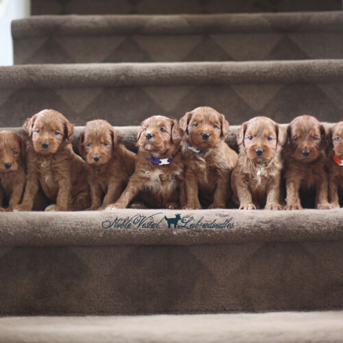 <strong>Week 4</strong><br>
10/02/2016<br>L-R: Girl, Girl, Girl, Boy, Boy, Boy, Boy, Boy, Boy, Boy