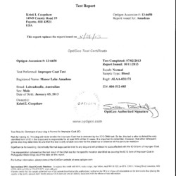 Scanned Documents