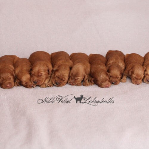 <strong>Week 2</strong><br>
01/28/2017<br>L-R: Girl, Girl, Girl, Boy, Boy, Boy, Boy, Boy, Boy, Boy, Boy