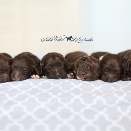 <strong>Week1</strong><br>
04/01/2017<br>L-R: Girl, Girl, Girl, Girl, Boy, Boy