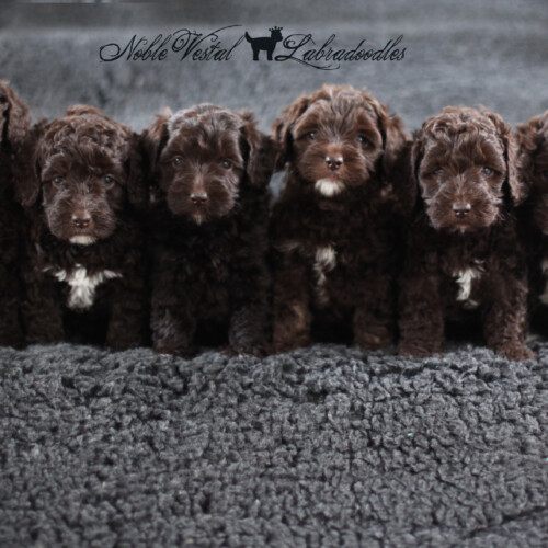 <strong>Week 5</strong><br>
04/29/2017<br>L-R: Girl, Girl, Girl, Girl, Boy, Boy