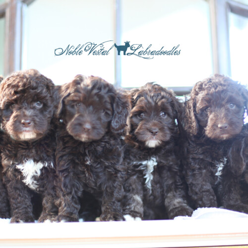 <strong>Week 6</strong><br>
05/06/2017<br>L-R: Girl, Girl, Girl, Girl, Boy, Boy