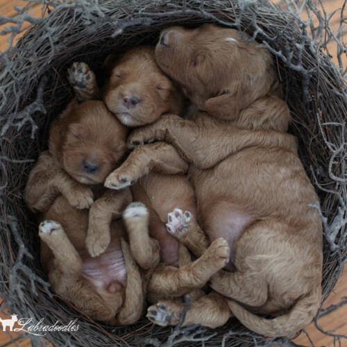 <strong>Week 2</strong><br>
05/20/2017<br>L-R: Girl, Girl, Boy