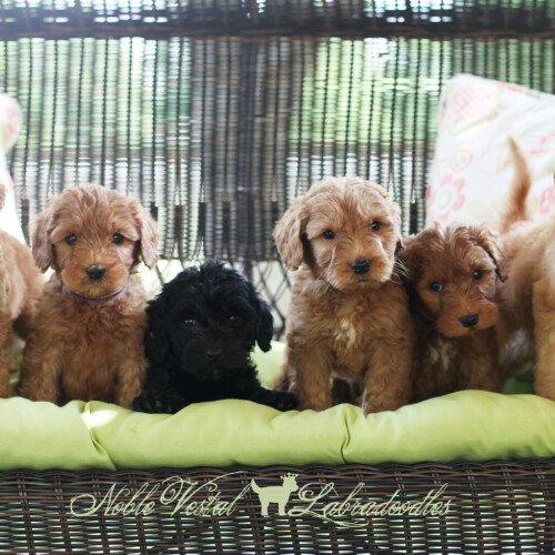 <strong>Week 7</strong><br>
06/03/2017<br>L-R: Girl, Girl, Girl, Boy, Boy, Boy