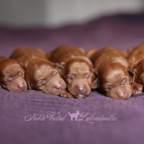 <strong>Week 1</strong><br>
07/28/2017<br>L-R: Girl, Boy, Boy, Boy, Boy