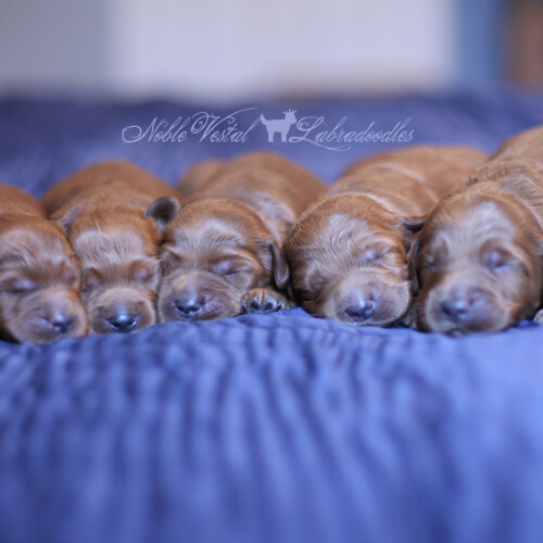 <strong>Week 2</strong><br>
08/05/2017<br>L-R: Girl, Boy, Boy, Boy, Boy