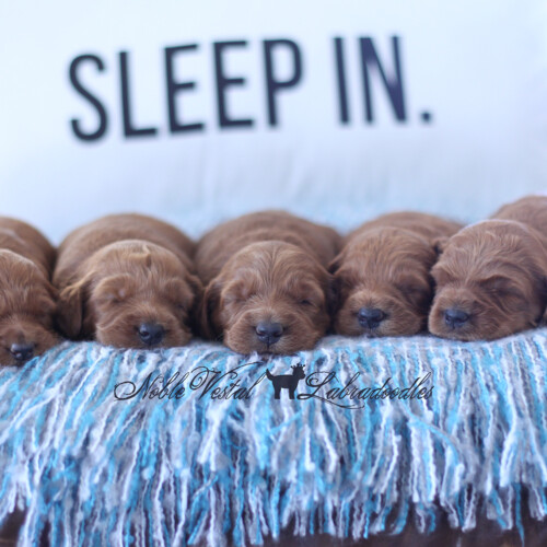 <strong>Week 3</strong><br>
08/13/2017<br>L-R: Girl, Boy, Boy, Boy, Boy