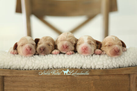 <strong>Week 1</strong><br>
07/09/2017<br>L-R: Girl, Girl, Boy, Boy, Boy