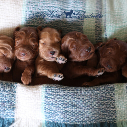 <strong>Week 1</strong><br>
09/23/2017<br>L-R: Girl, Girl, Boy, Boy, Boy, Boy