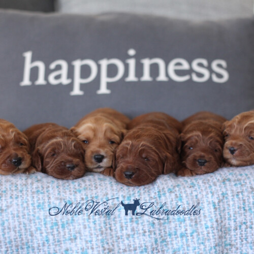 <strong>Week 2</strong><br>
09/30/2017<br>L-R: Girl, Girl, Boy, Boy, Boy, Boy