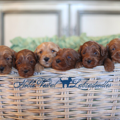 <strong>Week 3</strong><br>
10/08/2017<br>L-R: Girl, Girl, Boy, Boy, Boy, Boy