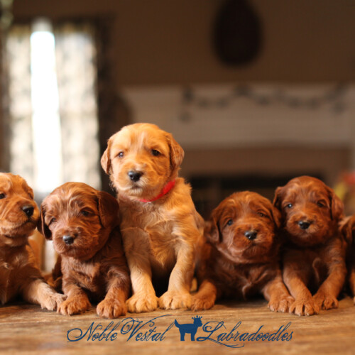 <strong>Week 3</strong><br>
10/08/2017<br>L-R: Girl, Girl, Boy, Boy, Boy, Boy