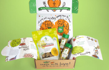 <strong>Feeding</strong> <br />What Should I Feed My Puppy?