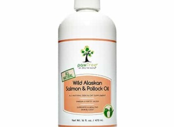 <strong>No Fishy Business</strong> <br />Fish oil for your dog has solid research behind it. Known for helping arthritic joints, your dog be active and happy well into her senior years.