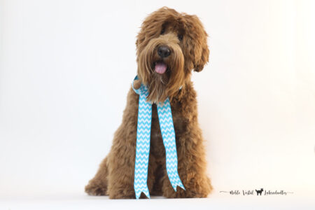 <strong>Lakewood Prosciutto</strong><br /> aka Prosciutto<br />
ALAA-00081902  WALA-00079822